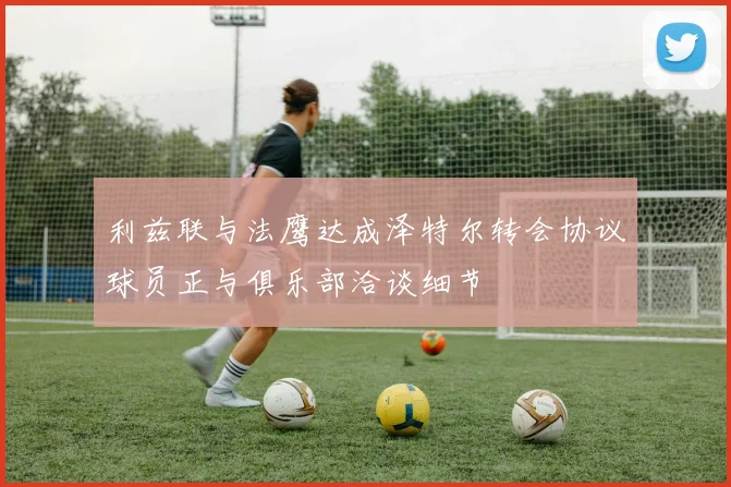 利兹联与法鹰达成泽特尔转会协议球员正与俱乐部洽谈细节