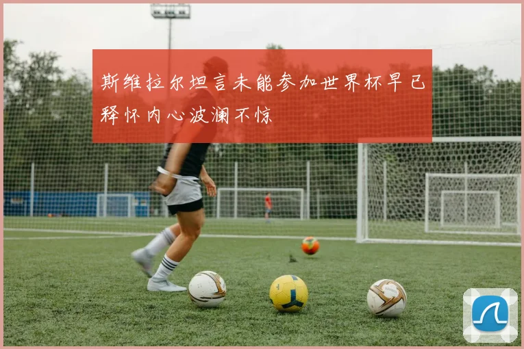 斯维拉尔坦言未能参加世界杯早已释怀内心波澜不惊